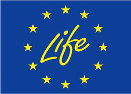 Logo PROGETTO UE LIFE24-CET-ODYSSEE-MURE - EED